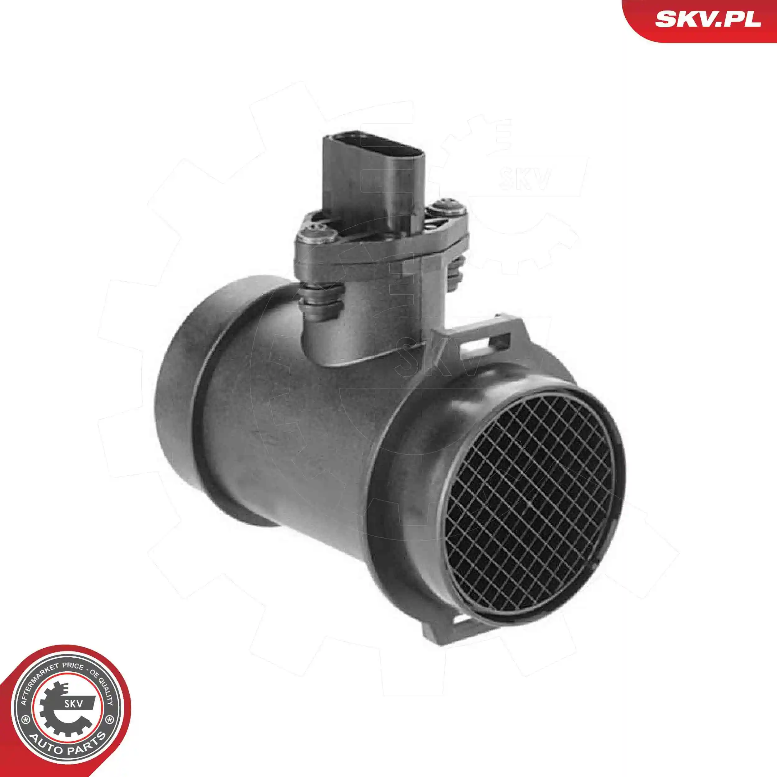 Mass Air Flow Sensor